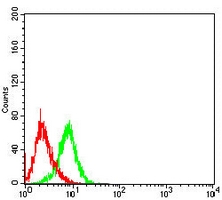 4 - Anti-SLC45A3 Antibody AP96056