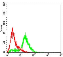 4 - Anti-SLC7A3 Antibody AP96057