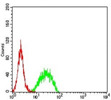 4 - Anti-SNF2L Antibody AP96058