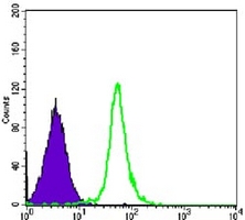 4 - Anti-SMC1A Antibody AP96059