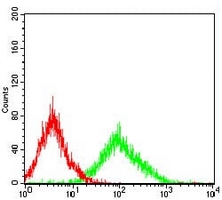 4 - Anti-SLUG Antibody AP96060