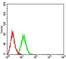 4 - Anti-SOD2 Antibody AP96061
