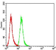 4 - Anti-SOX11 Antibody AP96062