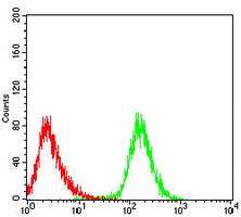 4 - Anti-CD43 Antibody AP96063