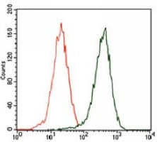 4 - Anti-p62 Antibody AP96064