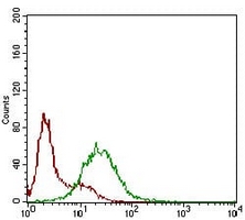 4 - Anti-SSTR3 Antibody AP96065