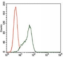 4 - Anti-STAT5A Antibody AP96066