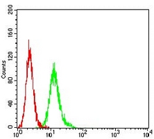 4 - Anti-SYK Antibody AP96067