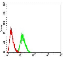 4 - Anti-Synapsin 1 Antibody AP96068