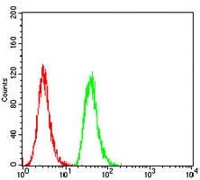 4 - Anti-TARDBP Antibody AP96070