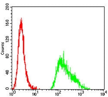 4 - Anti-TET2 Antibody AP96072
