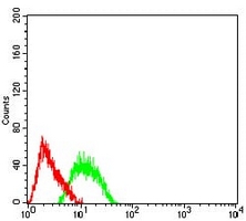 4 - Anti-AP2-beta Antibody AP96075