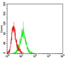 4 - Anti-TIM4 Antibody AP96077
