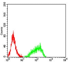 4 - Anti-CD30 Antibody AP96081