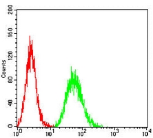 4 - Anti-CD137 Antibody AP96082