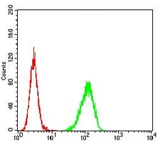4 - Anti-CD254 Antibody AP96083