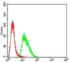 4 - Anti-cTnT Antibody AP96086
