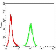 4 - Anti-Topoisomerase 2 alpha Antibody AP96088
