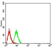 4 - Anti-TRAF2 Antibody AP96089