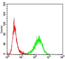 4 - Anti-TRIB2 Antibody AP96092