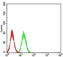 4 - Anti-TRIM25 Antibody AP96093