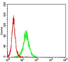 4 - Anti-TSPAN16 Antibody AP96096