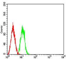 4 - Anti-Tetraspanin 8 Antibody AP96097