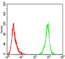 4 - Anti-Alpha-tubulin 4a Antibody AP96098