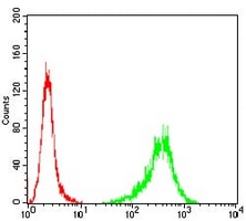 4 - Anti-Beta-tubulin Antibody AP96099
