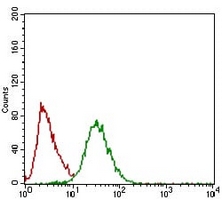 4 - Anti-TWIST Antibody AP96101