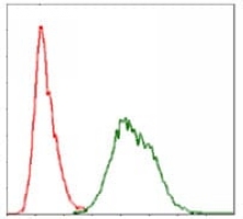 4 - Anti-UBB Antibody AP96102