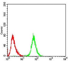 4 - Anti-PGP9.5 Antibody AP96103