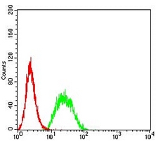 4 - Anti-UFD1L Antibody AP96104