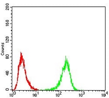 4 - Anti-ULK2 Antibody AP96106
