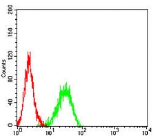 4 - Anti-UQCRC1 Antibody AP96108