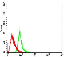 4 - Anti-RISP Antibody AP96109