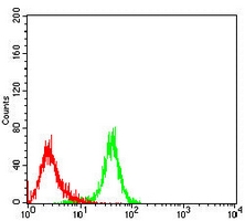 4 - Anti-USP11 Antibody AP96110