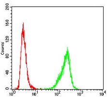 4 - Anti-USP7 Antibody AP96111