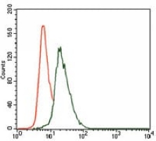 4 - Anti-VAV1 Antibody AP96113