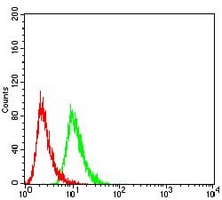 4 - Anti-VEGFA Antibody AP96116