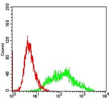 4 - Anti-Villin Antibody AP96117