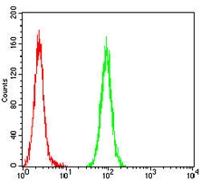 4 - Anti-Wilms Tumor 1 Antibody AP96119