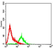 4 - Anti-XPC Antibody AP96121