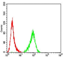 4 - Anti-XRCC1 Antibody AP96122