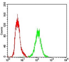 4 - Anti-Ku70 Antibody AP96123