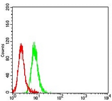 4 - Anti-ZAP70 Antibody AP96126