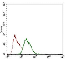 4 - Anti-REX-1 Antibody AP96127