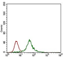 4 - Anti-REX-1 Antibody AP96128