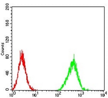 4 - Anti-ZFP91 Antibody AP96129
