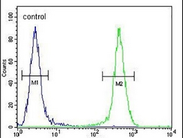 4 - Anti-JOSD2 Antibody AP96135